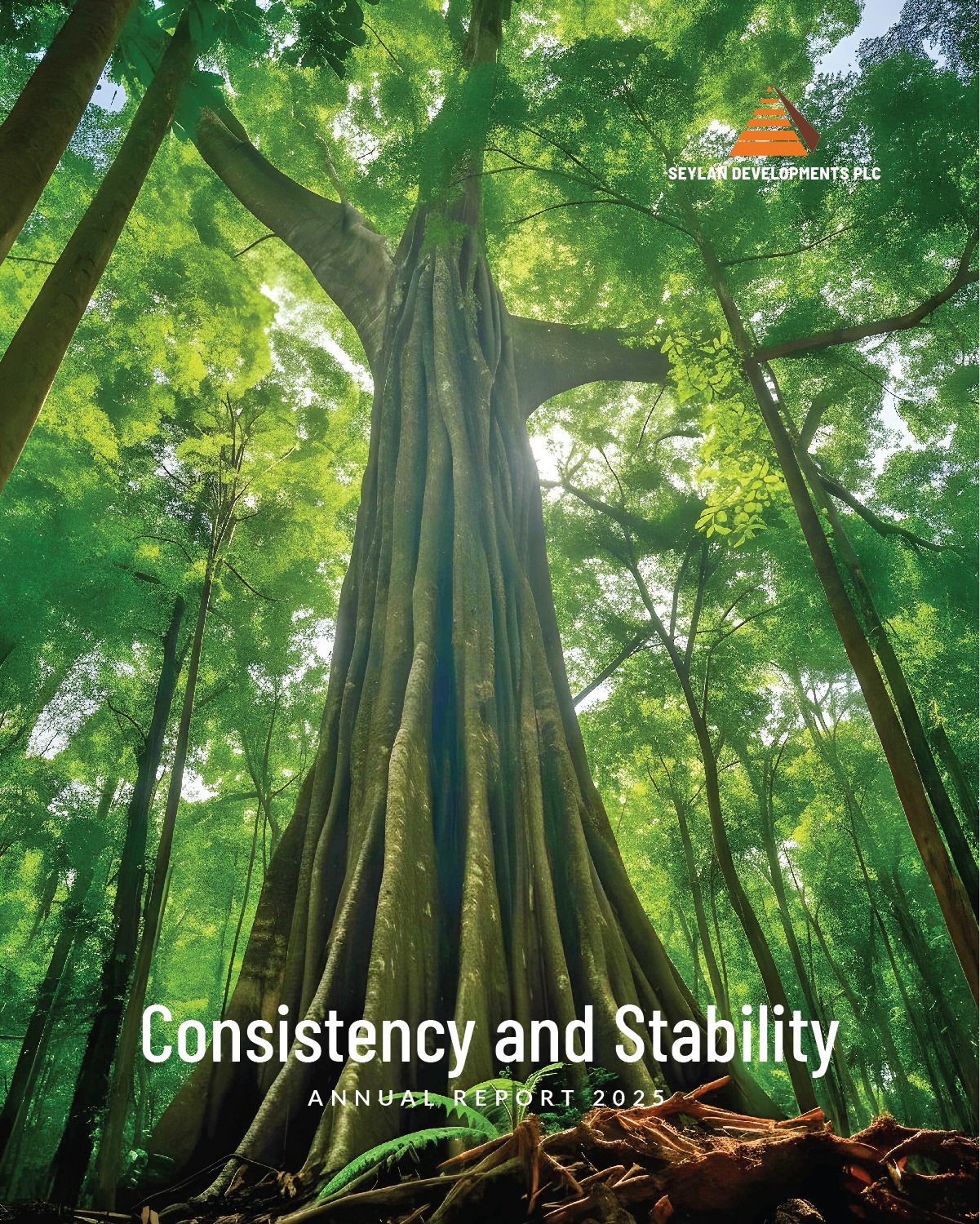 Seylan Annual report 2025